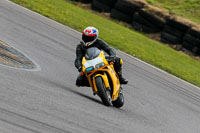 PJ-Motorsport-2019;anglesey-no-limits-trackday;anglesey-photographs;anglesey-trackday-photographs;enduro-digital-images;event-digital-images;eventdigitalimages;no-limits-trackdays;peter-wileman-photography;racing-digital-images;trac-mon;trackday-digital-images;trackday-photos;ty-croes